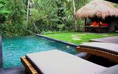 Туры в отель Ubud Padi Villas