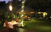 Туры в отель Ubud Padi Villas