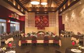 Туры в отель Dreams Dominicus La Romana