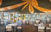 Туры в отель The Mirage Resort & SPA