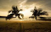 Туры в отель High Season Pool Villa & Spa