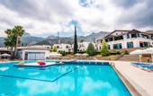 Туры в отель The Olive Tree Hotel