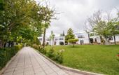 Туры в отель The Olive Tree Hotel