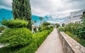 Туры в отель The Olive Tree Hotel