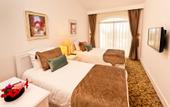 Туры в отель The Olive Tree Hotel
