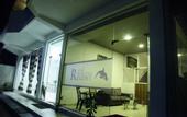 Туры в отель Hotel Mirissa Regent