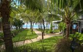 Туры в отель Summer Beach Resort