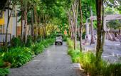 Туры в отель Summer Beach Resort