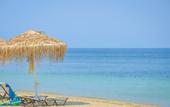 Туры в отель Princess Calypso Hotel