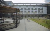 Туры в отель Black Mount Hotel