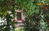Туры в отель Cotton Club Villas