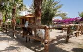 Туры в отель Alba Resort Hotel