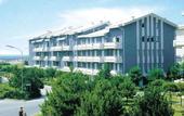 Туры в отель Marina Grande