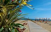 Туры в отель Marina Grande