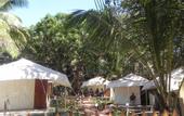 Туры в отель Coco`s Resort