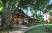 Туры в отель Eden Bungalow Resort