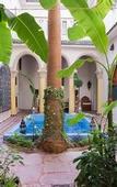 Туры в отель Maison Arabo Andalouse