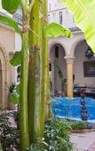 Туры в отель Maison Arabo Andalouse