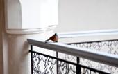 Туры в отель Riad Nashira & Spa