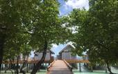 Туры в отель NH Maldives Kuda Rah Resort