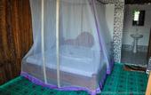 Туры в отель New Jambo Bungalows