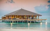 Туры в отель Cocoon Maldives