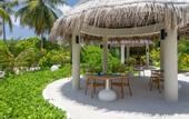 Туры в отель Cocoon Maldives
