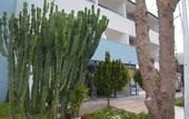 Туры в отель Park Avrupa Hotel Kemer