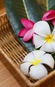 Туры в отель U-Tiny Boutique Home Suvarnabhumi Bangkok