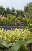 Туры в отель U-Tiny Boutique Home Suvarnabhumi Bangkok