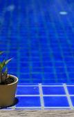 Туры в отель U-Tiny Boutique Home Suvarnabhumi Bangkok