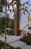 Туры в отель U-Tiny Boutique Home Suvarnabhumi Bangkok