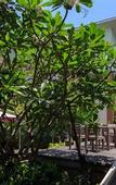 Туры в отель U-Tiny Boutique Home Suvarnabhumi Bangkok