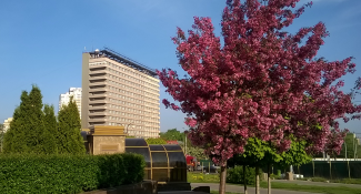 Университетская 2*