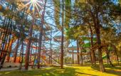 Туры в отель Long Beach Club Nature