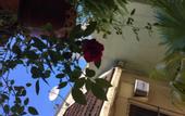 Туры в отель Palace Hotel