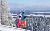 Туры в отель Golden Resort