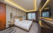 Туры в отель Naz City Hotel Taksim