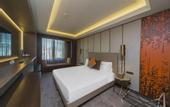 Туры в отель Naz City Hotel Taksim