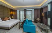 Туры в отель Naz City Hotel Taksim