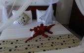 Туры в отель Ocean of Life Ayurvedic Resort