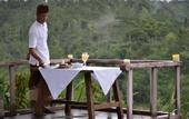 Туры в отель Puri Sebatu Resort