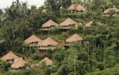 Туры в отель Puri Sebatu Resort