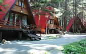 Туры в отель Villas Jagoda & Malina