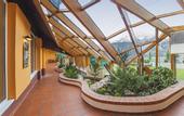 Туры в отель Alpine Club