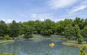 Туры в отель Qafqaz Thermal & Spa Resort Hotel