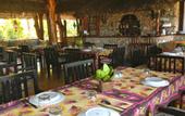 Туры в отель Mangrove Lodge