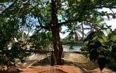 Туры в отель Mangrove Lodge
