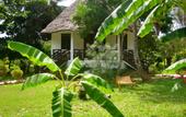 Туры в отель Mangrove Lodge