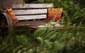 Туры в отель Zawadi House Lodge